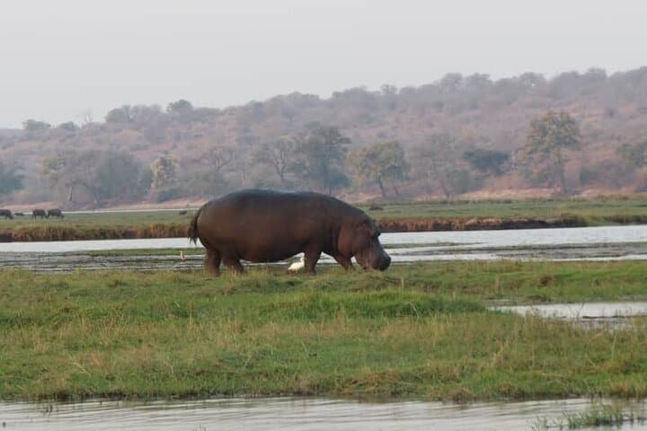 Victoria Falls to Chobe: 7-Day Budget Safari through Hwange and the Zambezi photo 4