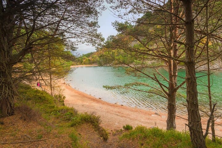 Into the Wild: Cairngorms Walking Tour from Inverness photo 6