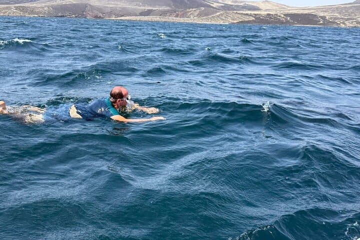 Swim with Whale Sharks and Walk Lake Assal's Salt Flats — Full-Day Djibouti Tour