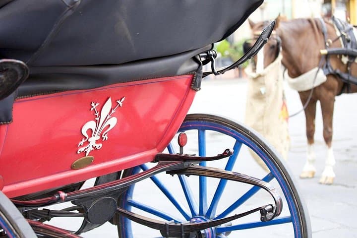 Horse-Drawn Carriage Ride Through Historic Florence — 45-Minute Private Tour photo 2