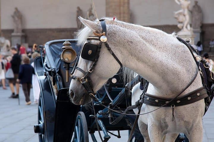 Horse-Drawn Carriage Ride Through Historic Florence — 45-Minute Private Tour photo 3