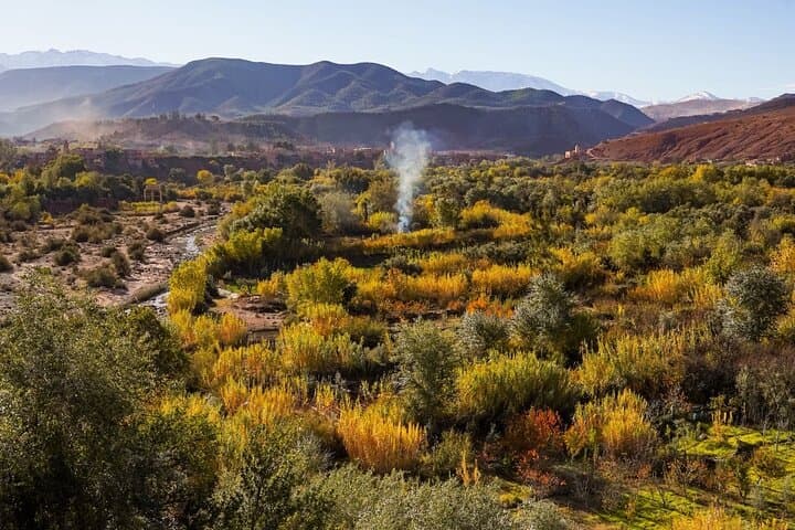 Atlas Mountains Day Trip from Marrakech — Imlil Valley, Camel Ride & Berber Villages photo 2