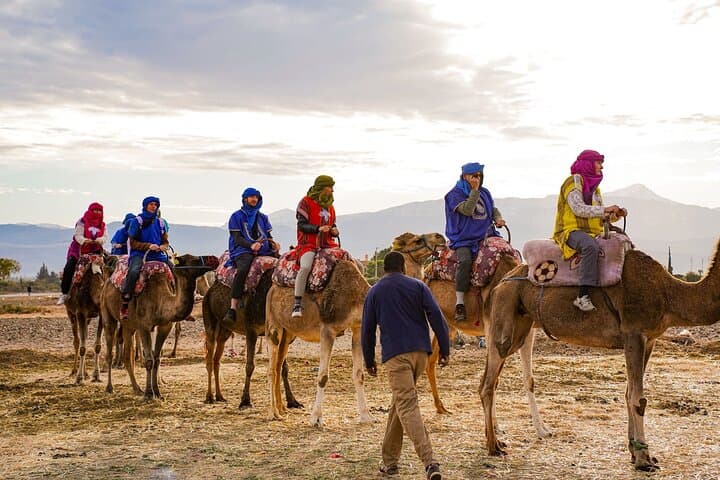 Atlas Mountains Day Trip from Marrakech — Imlil Valley, Camel Ride & Berber Villages photo 4