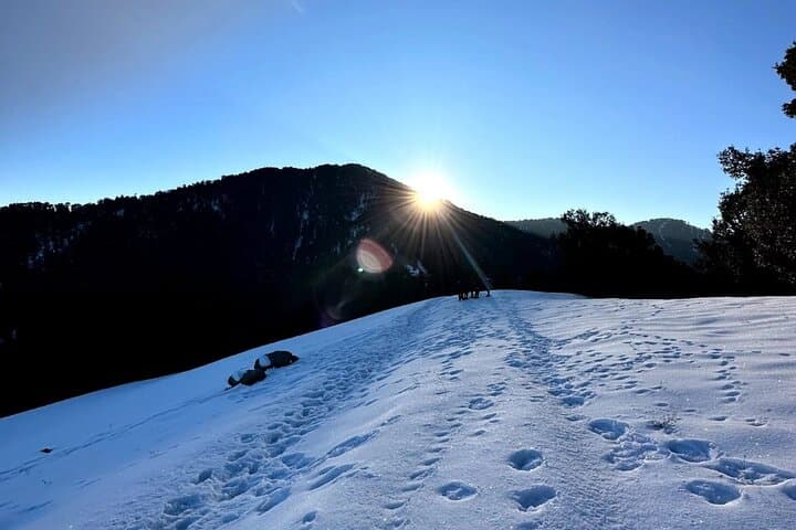 Nag Tibba 2-Day Trek from Rishikesh — Sunset Summit & Ridge Camping photo 3