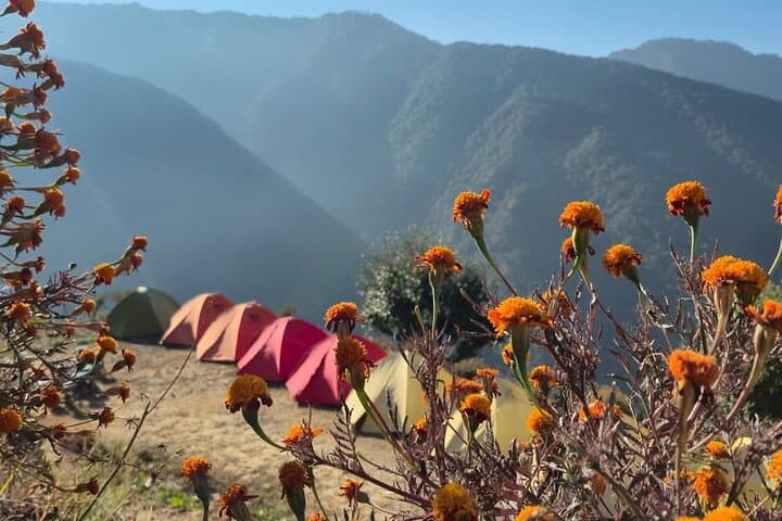 Nag Tibba 2-Day Trek from Rishikesh — Sunset Summit & Ridge Camping photo 6