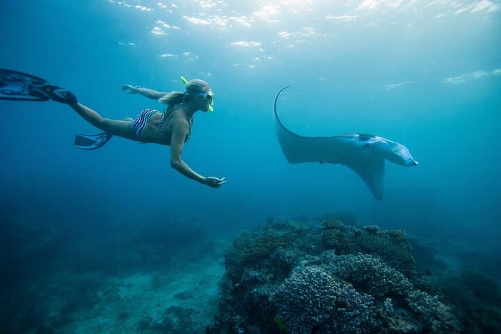 Snorkel with Manta Rays at Nusa Penida: Manta Point & Manta Bay Adventure photo 4