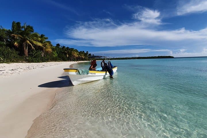 Saona Island Speedboat Adventure and Turtle Sanctuary Visit from Bayahibe photo 2