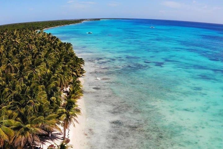 Saona Island Speedboat Adventure and Turtle Sanctuary Visit from Bayahibe photo 1