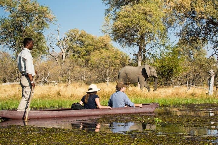 Okavango Mokoro Trails: 3-Day Delta Mokoro & Bush Camping Safari
