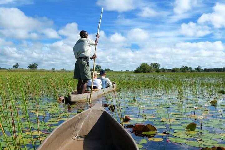 Okavango Mokoro Trails: 3-Day Delta Mokoro & Bush Camping Safari photo 2
