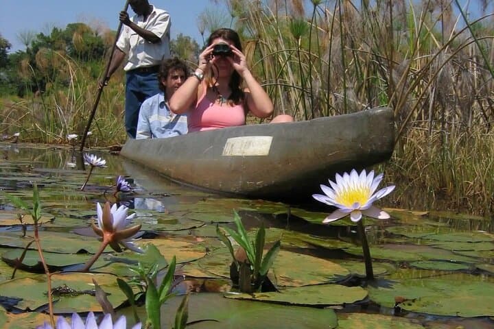 Okavango Mokoro Trails: 3-Day Delta Mokoro & Bush Camping Safari photo 5