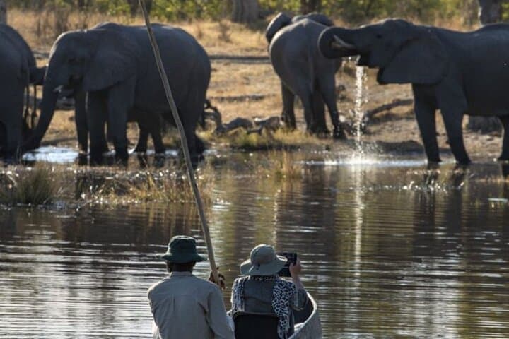 Okavango Mokoro Trails: 3-Day Delta Mokoro & Bush Camping Safari photo 6
