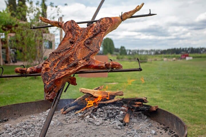 Private Gaucho Day to an Authentic Argentinian Estancia from Buenos Aires photo 3