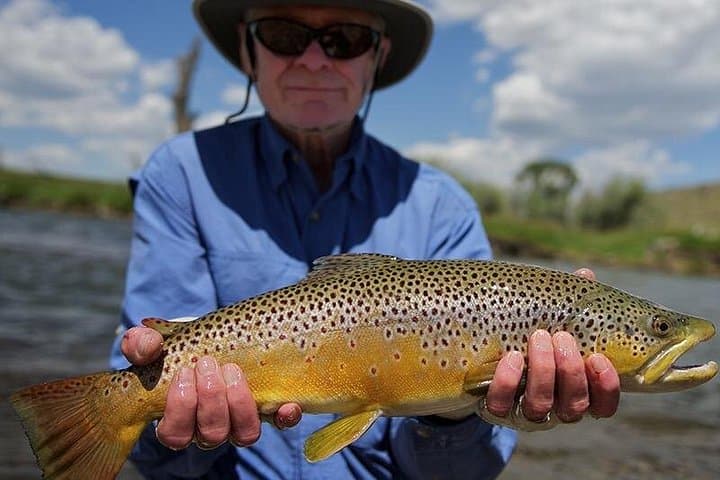 Full-Day Guided Fly Fishing in Bozeman | Madison, Gallatin & Yellowstone Rivers photo 2