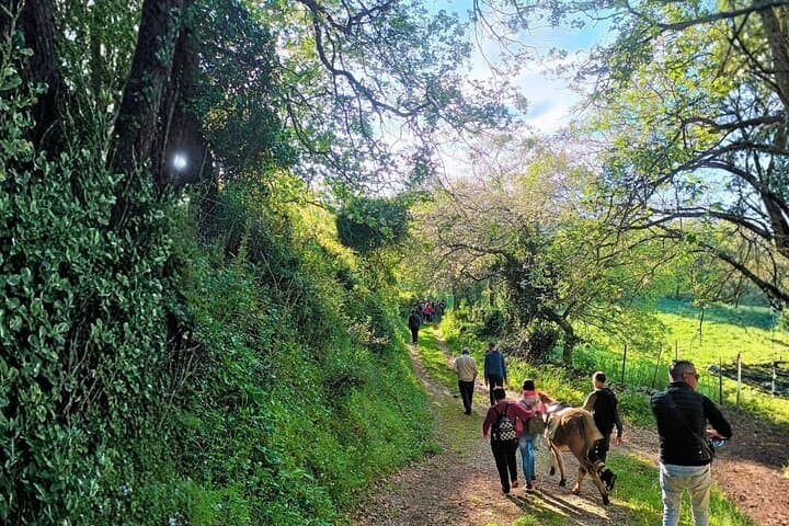 Hiking with Donkeys in Cargeghe: Waterfalls, Domus de Janas & Sardinian Aperitif photo 2