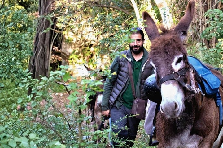 Hiking with Donkeys in Cargeghe: Waterfalls, Domus de Janas & Sardinian Aperitif photo 3