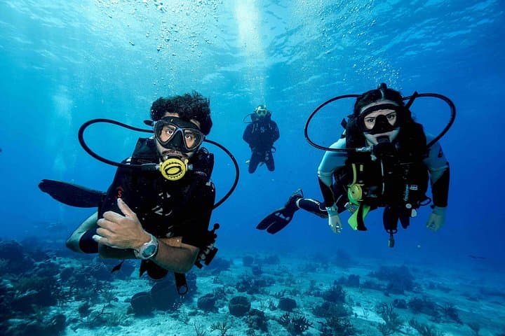 Cozumel Reef Scuba Diving Adventure — Two Guided Dives from Marina Fonatur photo 4