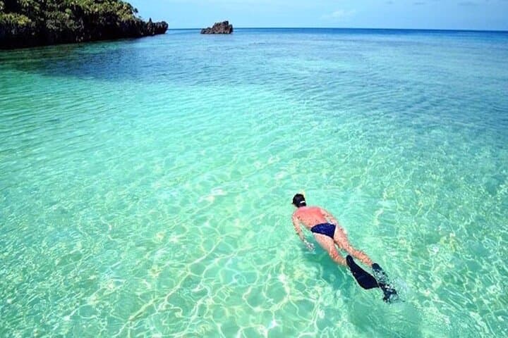 Private Snorkeling Charters Roatan — Hidden Coral Gardens & Marine Life
