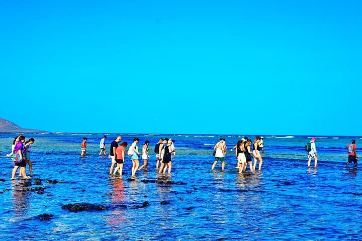Sal Island Day Tour: Salt Mine, Blue Eye & Shark Bay from Santa Maria photo 6