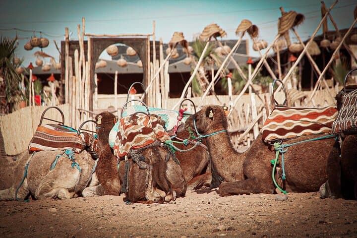 Agafay Desert Quad Biking, Camel Ride & Berber Dinner from Marrakech photo 3