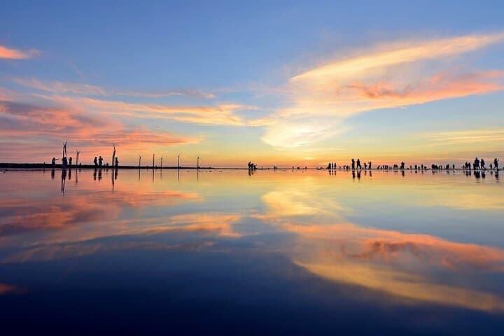 Gaomei Wetlands Day Trip from Ximending: Zhongshe Flowers, Rainbow Village & Sunset