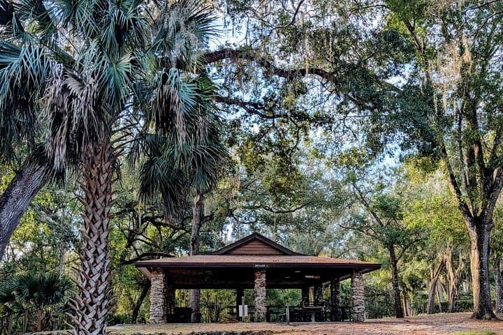 Rock Springs Tubing & Apopka Wildlife Drive: A Day on Crystal Springs and Marshes photo 3