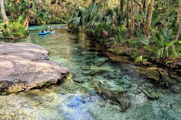 Rock Springs Tubing & Apopka Wildlife Drive: A Day on Crystal Springs and Marshes photo 5