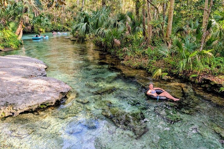 Rock Springs Tubing & Apopka Wildlife Drive: A Day on Crystal Springs and Marshes