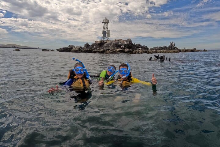 Balandra & Sea Lions: Half-Day La Paz Cruise to Pristine Beaches