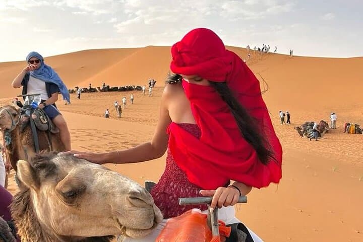 2-Day Sahara Desert from Marrakech or Fes: Camel Trek & Erg Chebbi Camp