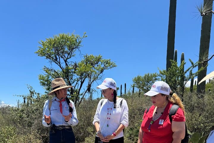 Tehuacán Biosphere & Mezcal Day Tour: Cactus Gardens, Distillation, and Tasting