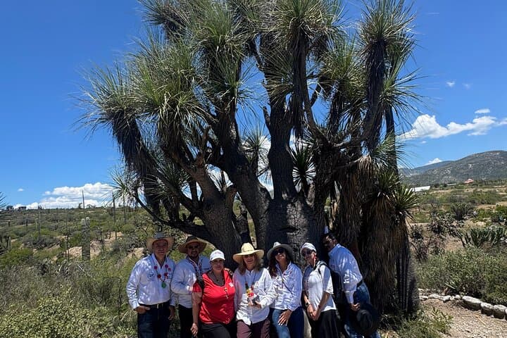 Tehuacán Biosphere & Mezcal Day Tour: Cactus Gardens, Distillation, and Tasting photo 4