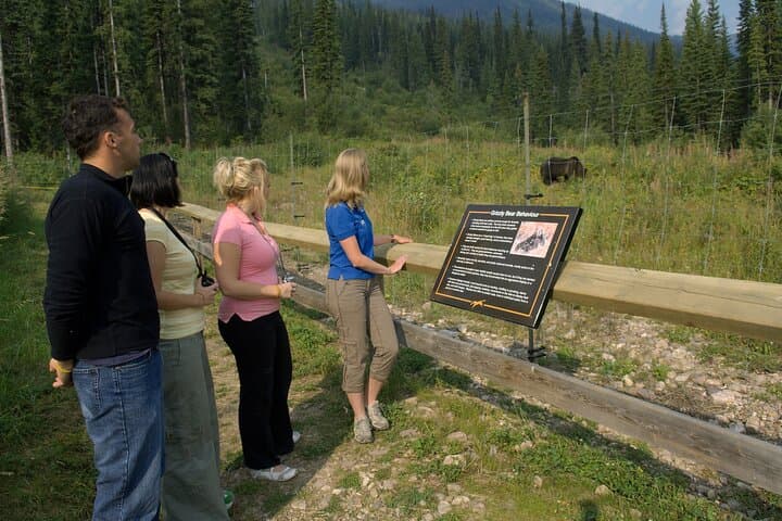 Ultimate Banff Full-Day Guided Adventure: Lake Louise, Bow Valley & Wildlife photo 5