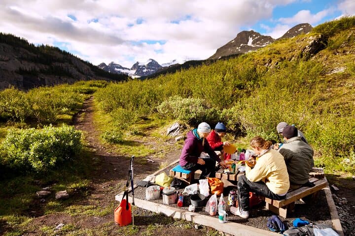 Ultimate Banff Full-Day Guided Adventure: Lake Louise, Bow Valley & Wildlife photo 6