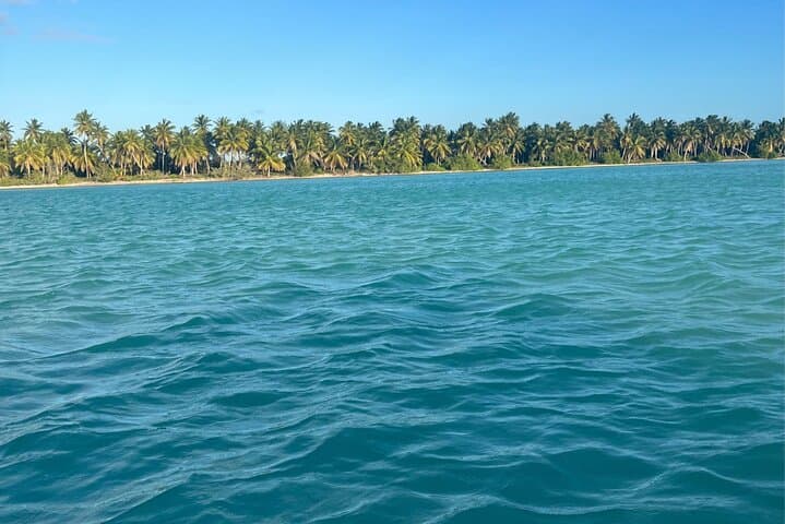 Saona Island Three Treasures Tour: Palmilla, Mano Juan & Canto de la Playa photo 2