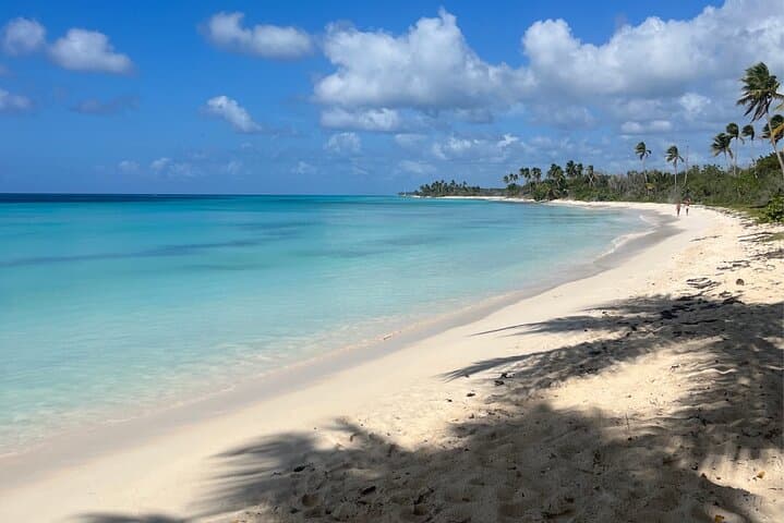 Saona Island Three Treasures Tour: Palmilla, Mano Juan & Canto de la Playa photo 5