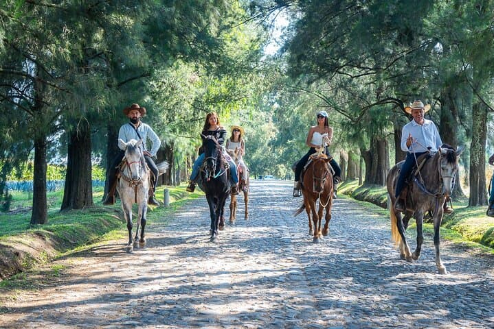 Horseback Through Tequila Country: Agave Fields & Tasting in El Arenal photo 2