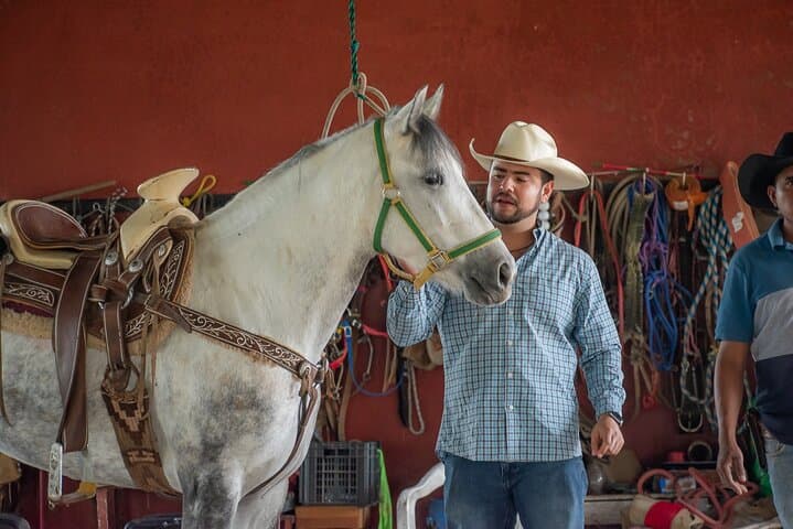 Horseback Through Tequila Country: Agave Fields & Tasting in El Arenal photo 4