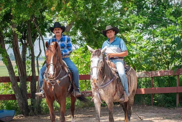 Horseback Through Tequila Country: Agave Fields & Tasting in El Arenal photo 6