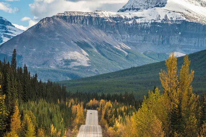 Columbia Icefield Tour from Canmore: Icefields Parkway Glacier Experience photo 3