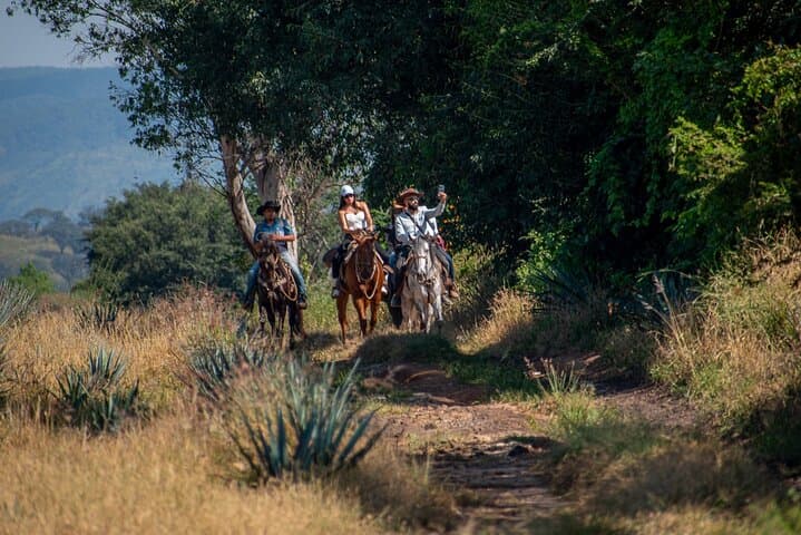 Horseback Through Tequila Agave Fields: Rural Ride & Tasting in El Arenal photo 5