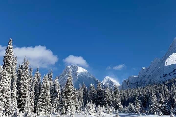 Canmore Winter Walk: Guided Ice-Cleat Nature Walk and Wildlife-Track Tour photo 3