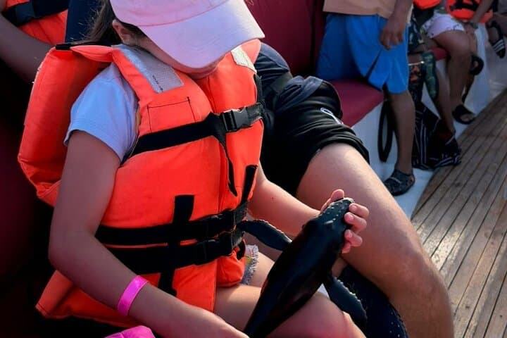 Puerto Vallarta Whale Watching — Banderas Bay Humpback Expedition photo 6