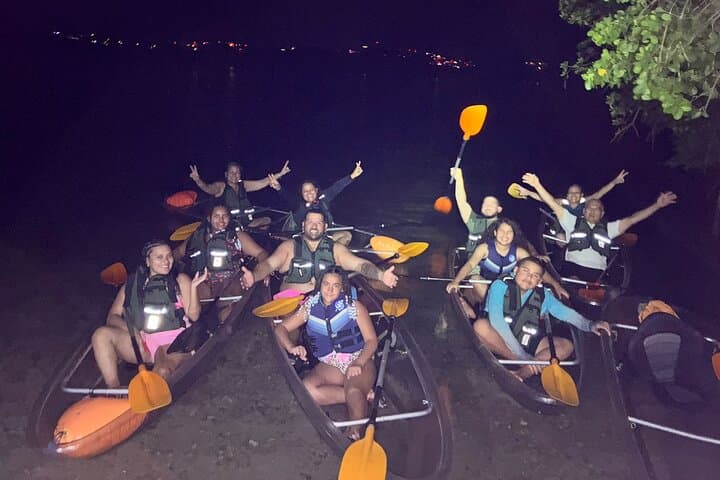 Paddle Mosquito Bay: Vieques Bioluminescent Kayak Night Tour photo 3