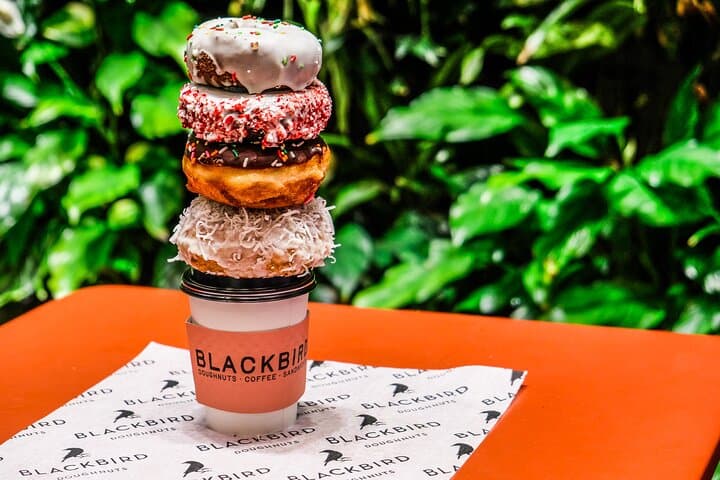 Harvard Square Donut Walking Tour: Historic Eats & Local Flavors photo 2
