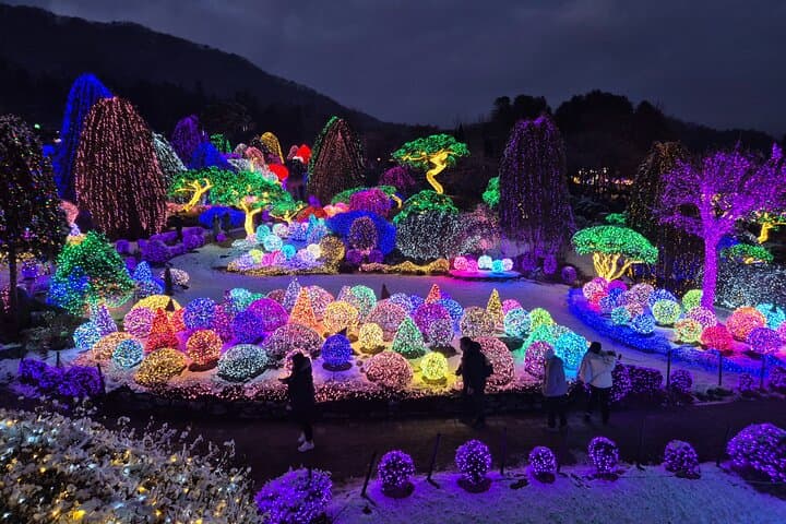 Nami Island and Garden of Morning Calm Night Tour from Seoul — 8-Hour Nature Escape