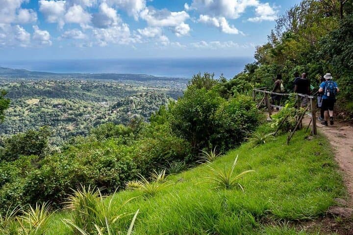 Half-Day Hike to Tet Paul & Sulphur Springs — St. Lucia Views and Mud Baths photo 5