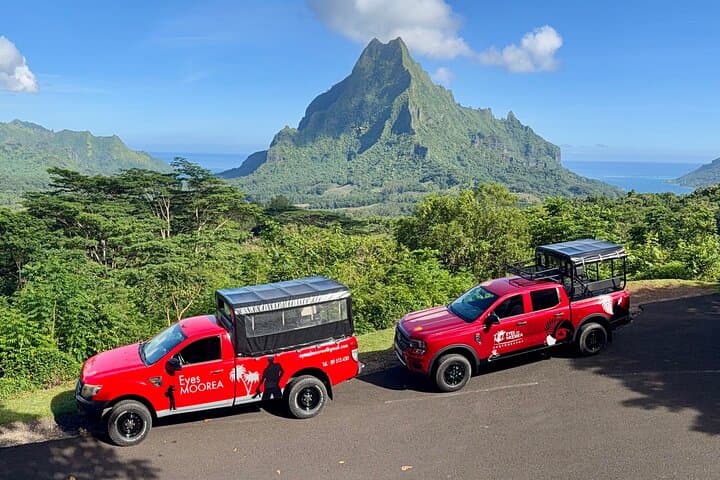 Moorea Private Photo Tour: Island Photography Workshop & Guided Discovery