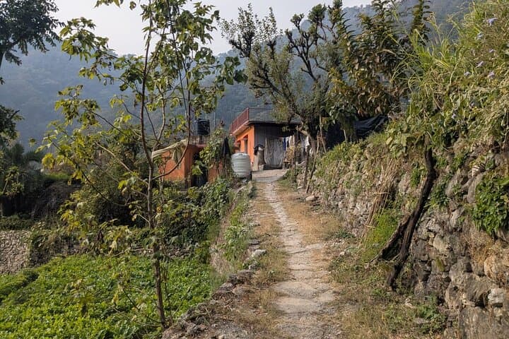 Jungle Trek to Gujjar Village: Offbeat Valley River Hike from Rishikesh photo 3
