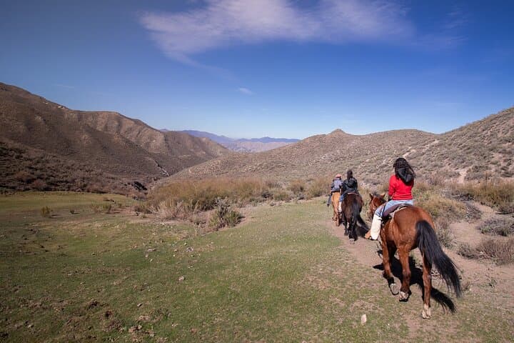 Mendoza Andes Horseback Ride to 2,500m with Asado & Wine photo 3